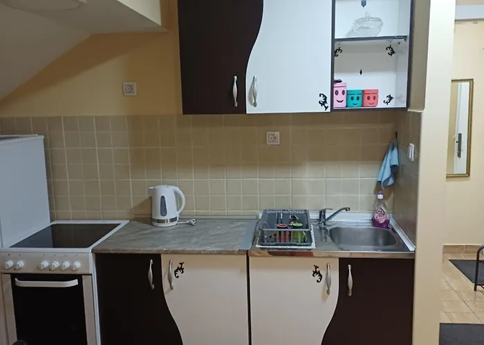 Apartment Nika Stan Na Dan